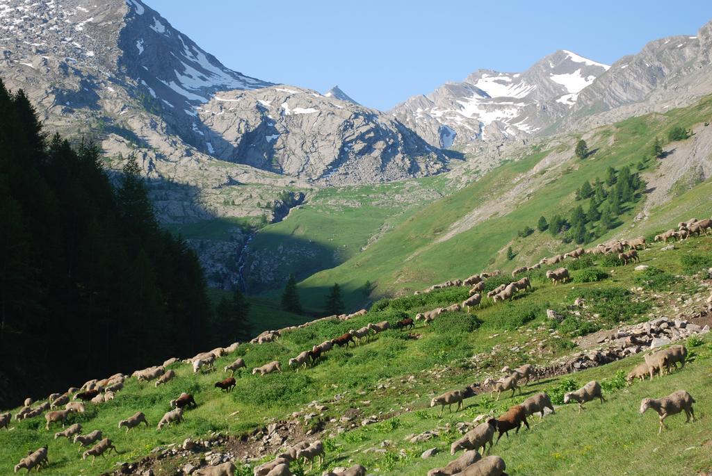 Le Clos Du Berger Le Sauze Kültér fotó
