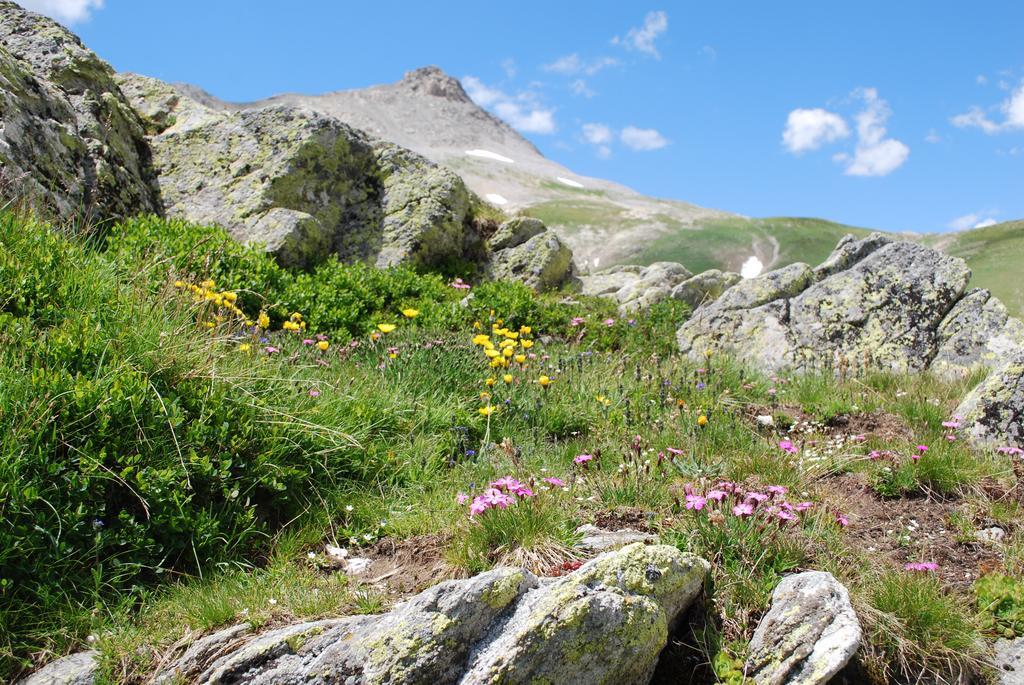 Le Clos Du Berger Le Sauze Kültér fotó